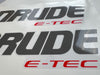Evinrude 175hp ETEC / E-TEC outboard engine decals - 2015 60º small block (white cowl)
