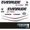 Evinrude 25hp ETEC / E-TEC outboard engine decals/sticker kit - WHITE cowl