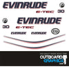 Evinrude 30hp ETEC / E-TEC outboard engine decals/sticker kit - WHITE cowl